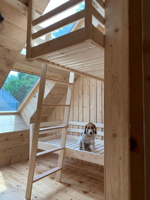 La Grange De La Gratade Villa Rochefort-Montagne ภายนอก รูปภาพ